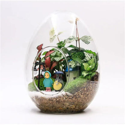 Egg-Shaped Glass Terrarium Vase for Succulents by HitMyNeed
