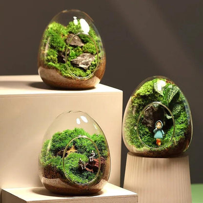 Egg-Shaped Glass Terrarium Vase for Succulents Small 9.5cm x 11cm by HitMyNeed