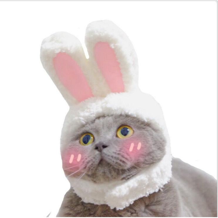 Elastic Plush Bunny Hat for Cats by HitMyNeed