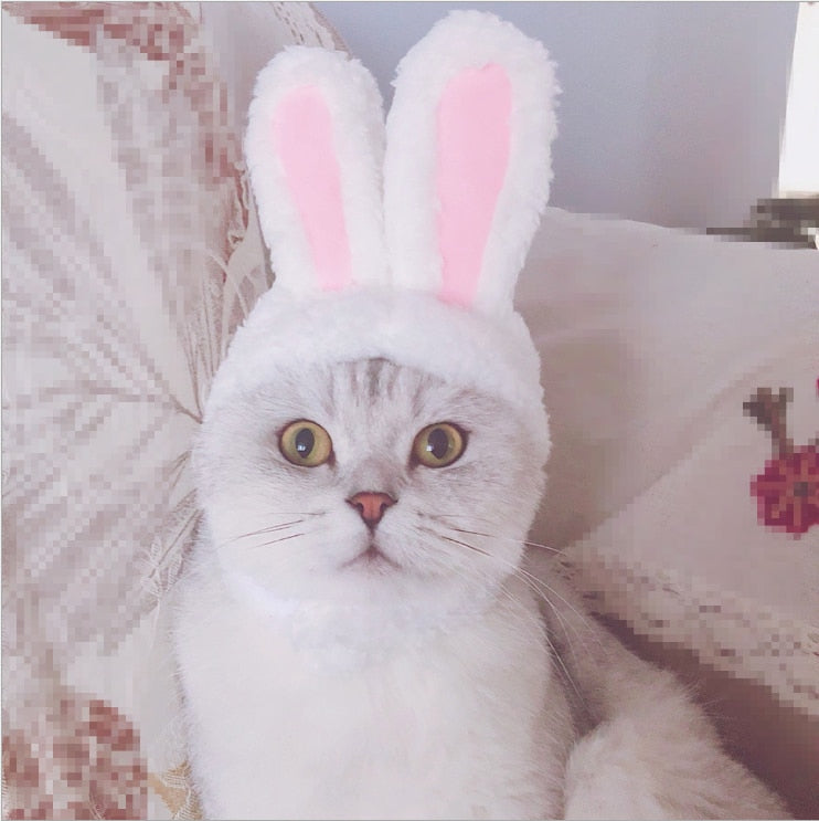 Elastic Plush Bunny Hat for Cats by HitMyNeed