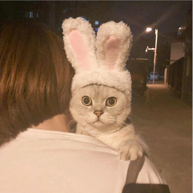 Elastic Plush Bunny Hat for Cats by HitMyNeed