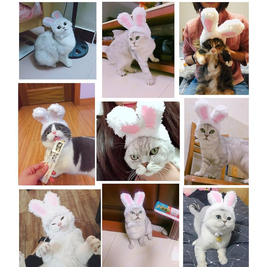 Elastic Plush Bunny Hat for Cats by HitMyNeed