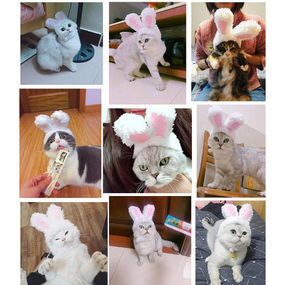 Elastic Plush Bunny Hat for Cats by HitMyNeed