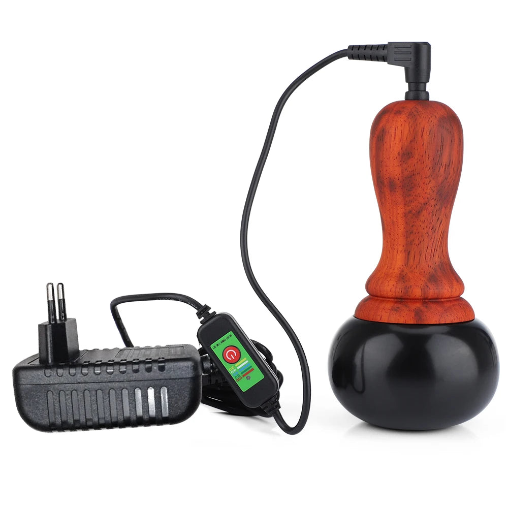 Electric Bianstone Hot Stone Gua Sha Massager by HitMyNeed
