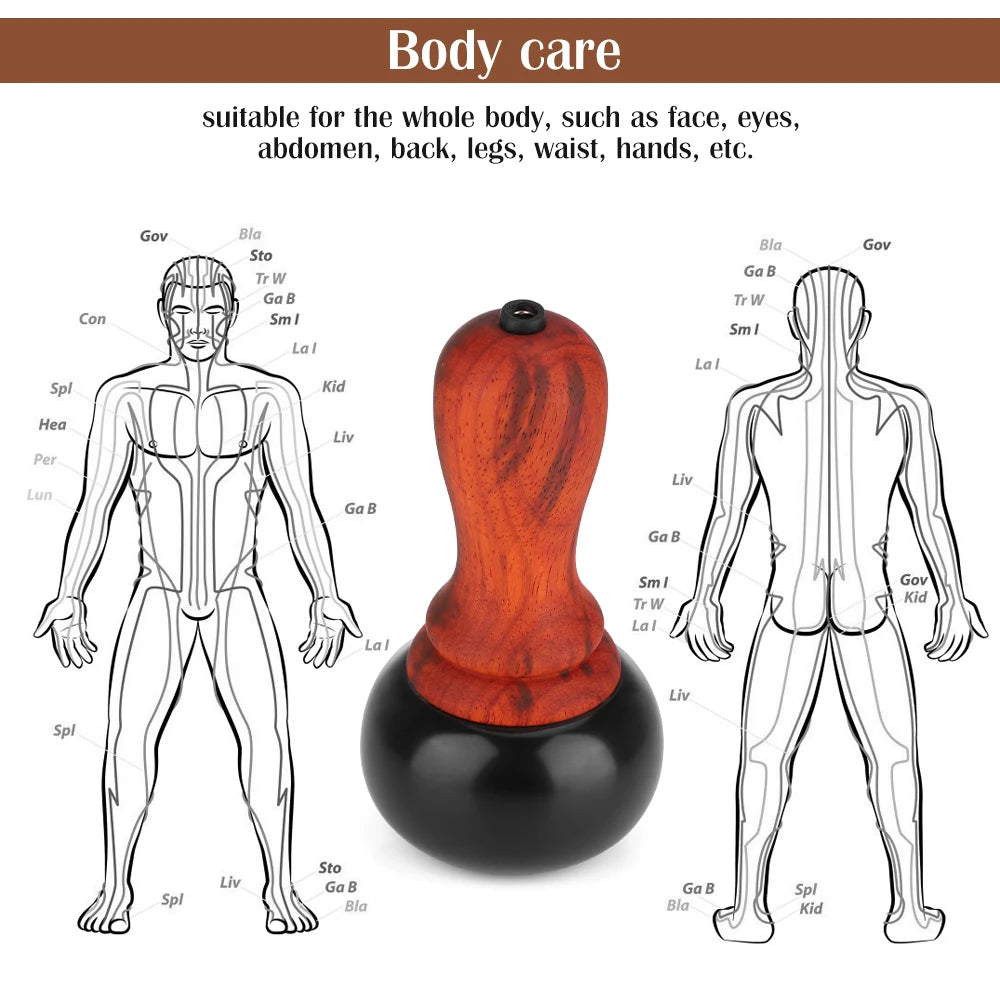 Electric Bianstone Hot Stone Gua Sha Massager by HitMyNeed