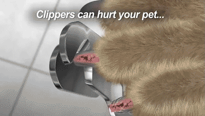 Electric Dog Nail File with LED Light by HitMyNeed