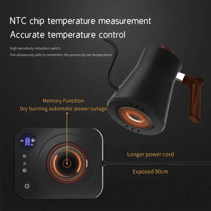 Electric Gooseneck Kettle 900ml with Temp Control by HitMyNeed
