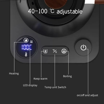 Electric Gooseneck Kettle 900ml with Temp Control by HitMyNeed