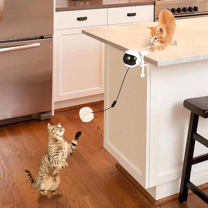 Electric Lifting Ball Interactive Motion Cat Toy by HitMyNeed