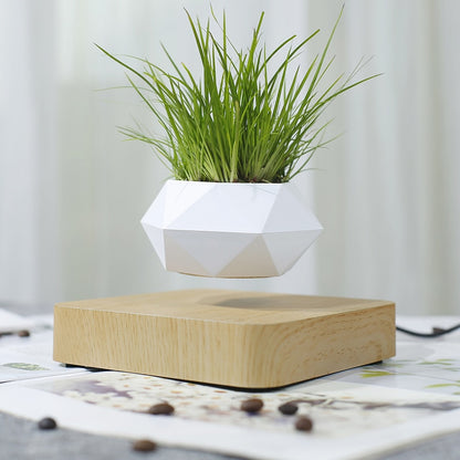 Electric Mini Levitating Flower Pot with LED Base by HitMyNeed