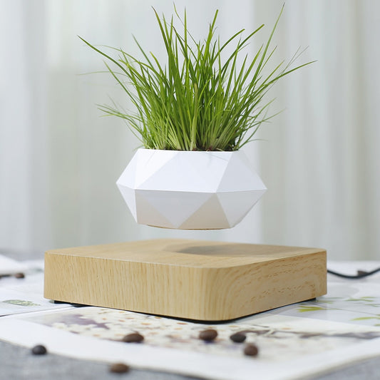Electric Mini Levitating Flower Pot with LED Base by HitMyNeed