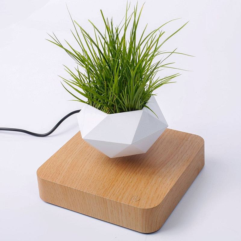 Electric Mini Levitating Flower Pot with LED Base by HitMyNeed