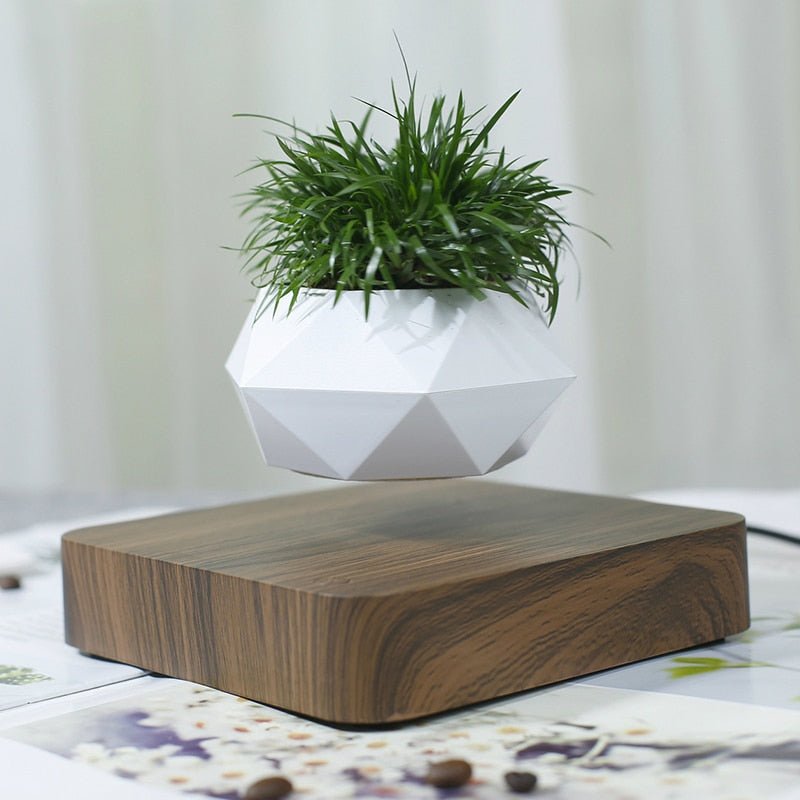 Electric Mini Levitating Flower Pot with LED Base by HitMyNeed