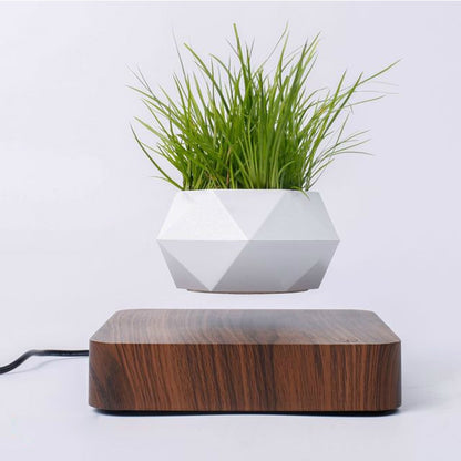 Electric Mini Levitating Flower Pot with LED Base by HitMyNeed