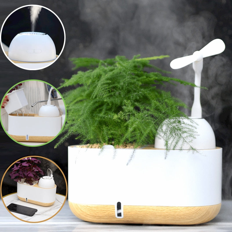 Electric Mini Levitating Flower Pot with LED Base by HitMyNeed