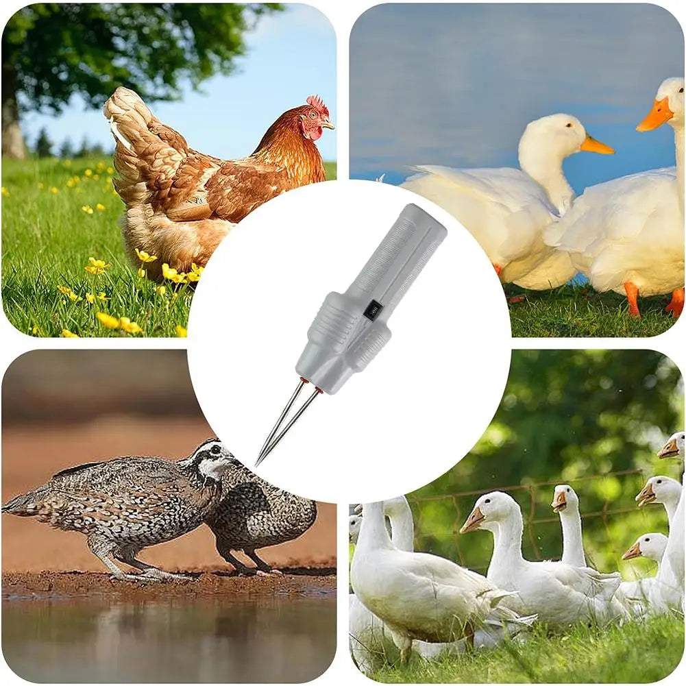 Electric Poultry & Pig Hair Removal Tool, Waterproof by HitMyNeed
