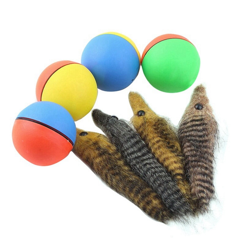 Electric Rolling Weasel Ball Toy for Pets by HitMyNeed