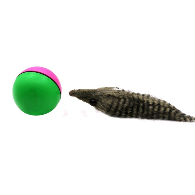 Electric Rolling Weasel Ball Toy for Pets by HitMyNeed