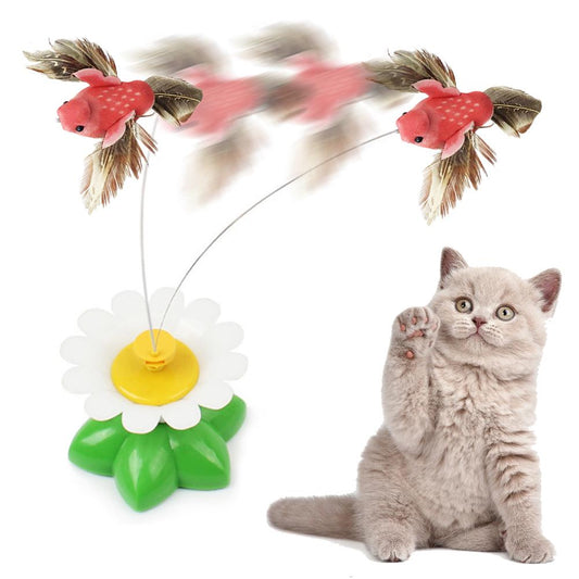 Electric Rotating Flying Bird Cat Toy by HitMyNeed
