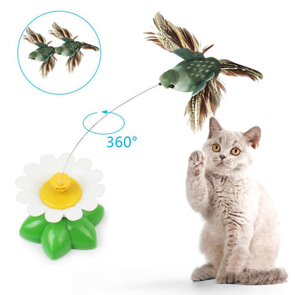 Electric Rotating Flying Bird Cat Toy by HitMyNeed