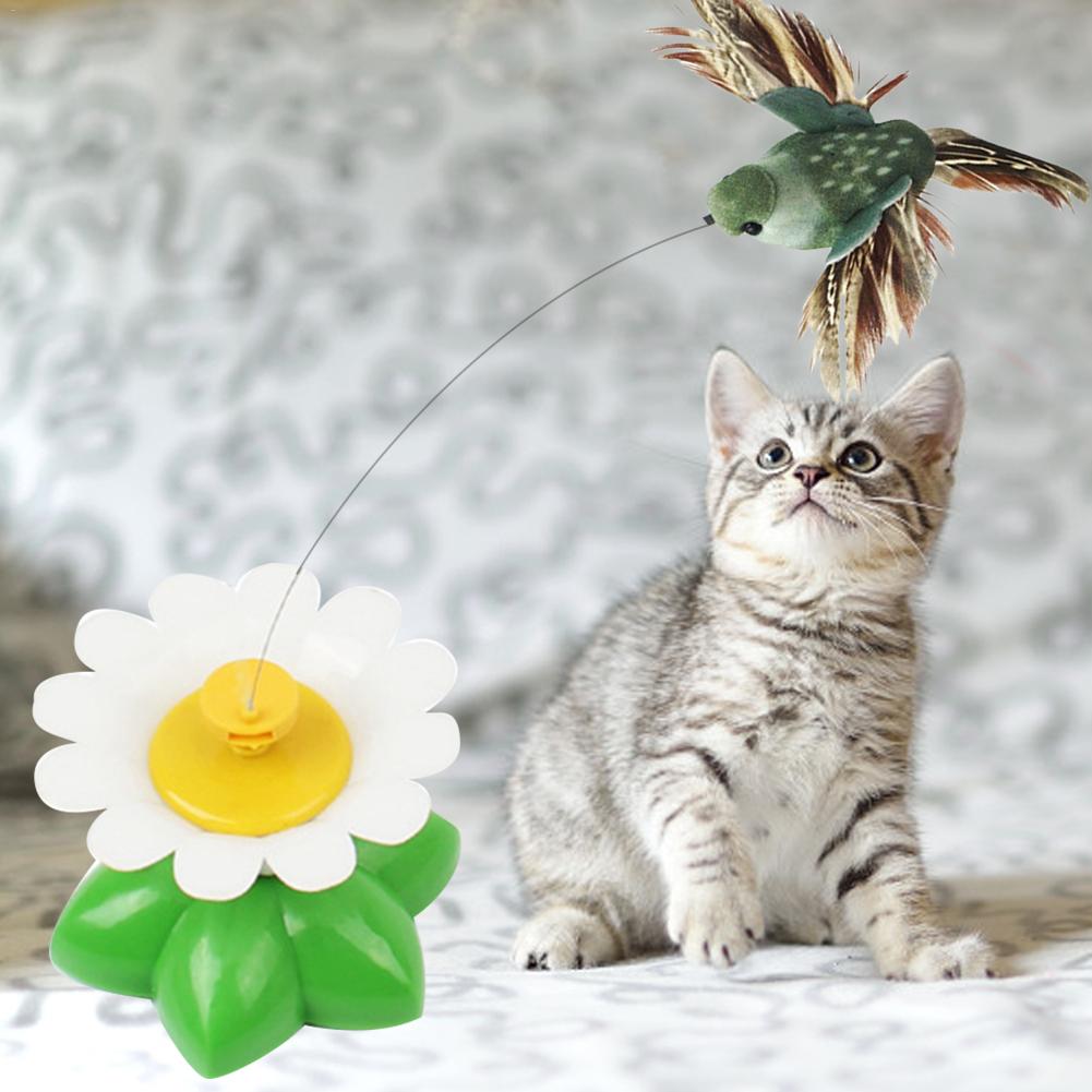 Electric Rotating Flying Bird Cat Toy by HitMyNeed