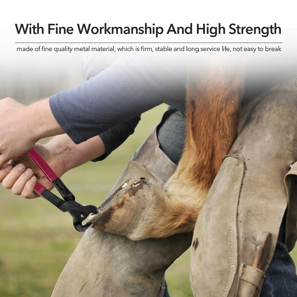 Ergonomic Horse Hoof Trimming Tool Set (4pcs) by HitMyNeed