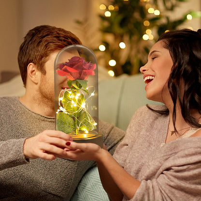 Eternal Rose in Glass Dome with LED Lights by HitMyNeed