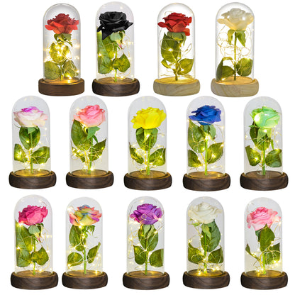 Eternal Rose in Glass Dome with LED Lights by HitMyNeed