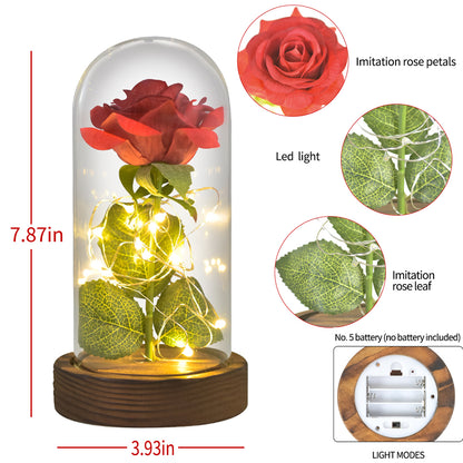 Eternal Rose in Glass Dome with LED Lights by HitMyNeed