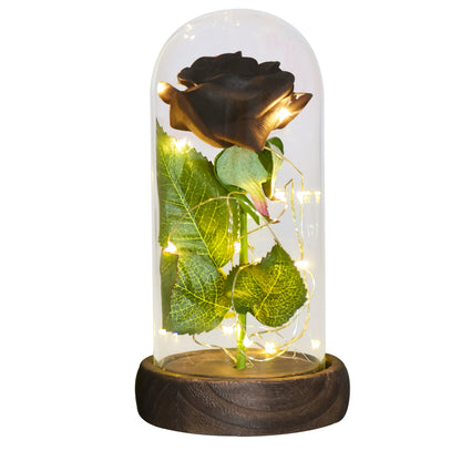 Eternal Rose in Glass Dome with LED Lights black-flower by HitMyNeed