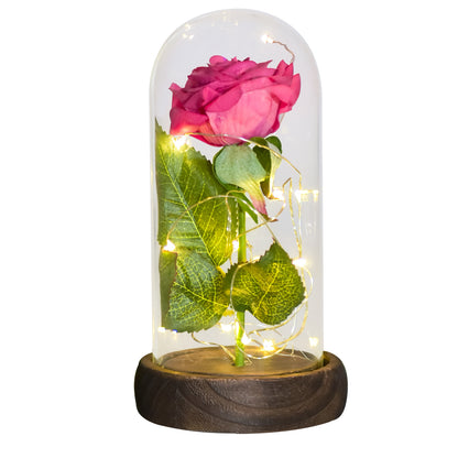 Eternal Rose in Glass Dome with LED Lights dark-pink-flower by HitMyNeed