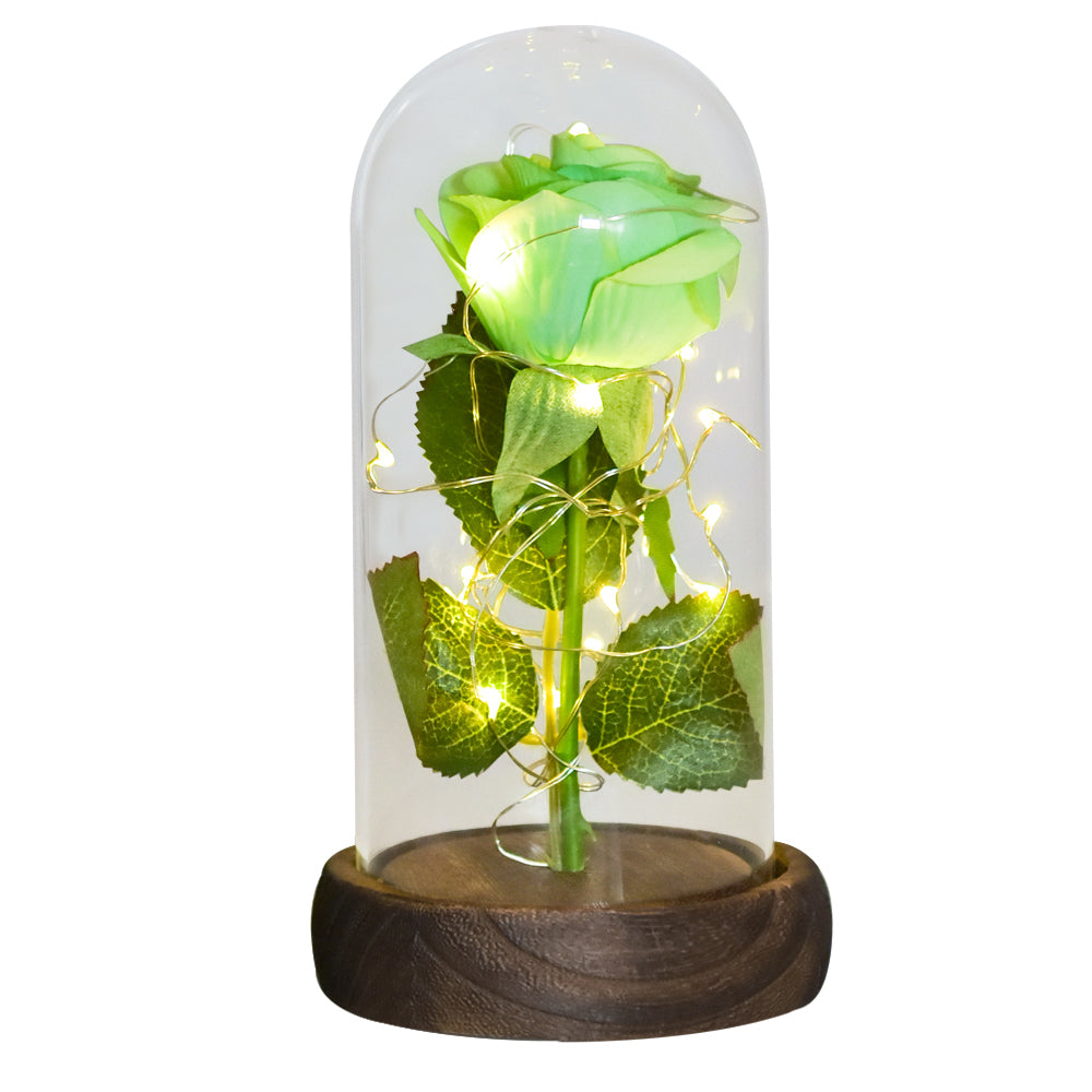 Eternal Rose in Glass Dome with LED Lights green-flower by HitMyNeed