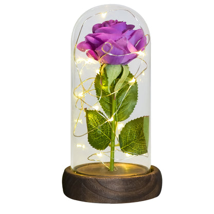 Eternal Rose in Glass Dome with LED Lights purple-flower by HitMyNeed