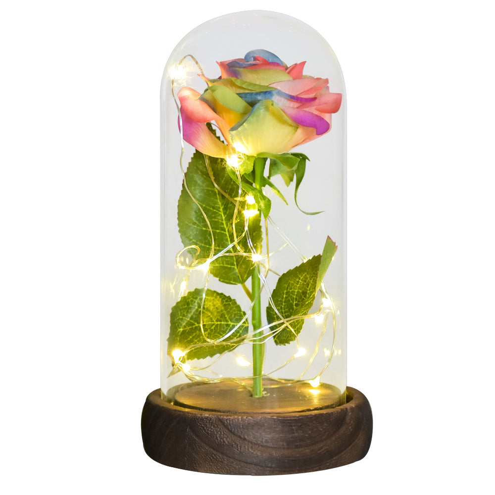 Eternal Rose in Glass Dome with LED Lights rainbow-flower by HitMyNeed