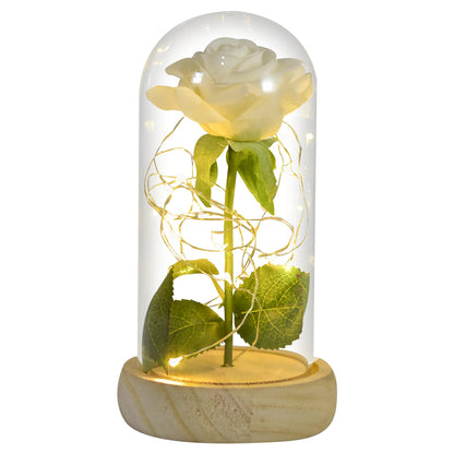 Eternal Rose in Glass Dome with LED Lights white-flower by HitMyNeed