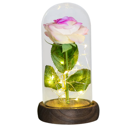 Eternal Rose in Glass Dome with LED Lights white-purple-flower by HitMyNeed