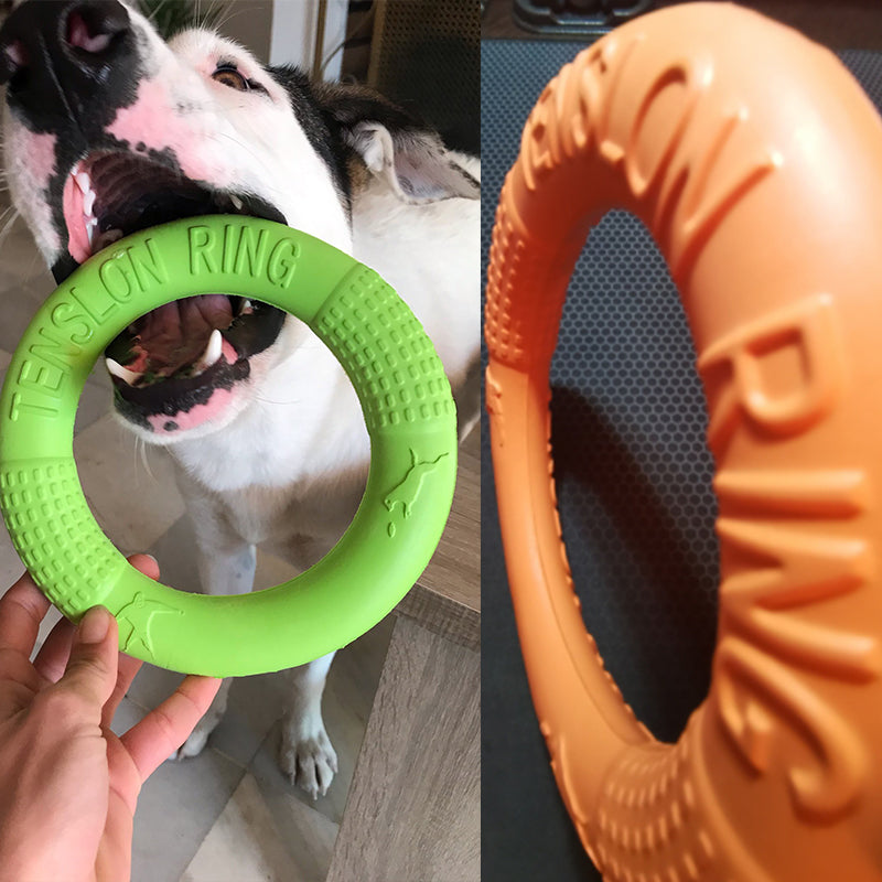 EVA Floatable Dog Ring Toy for Water & Fetch Play large-orange by HitMyNeed