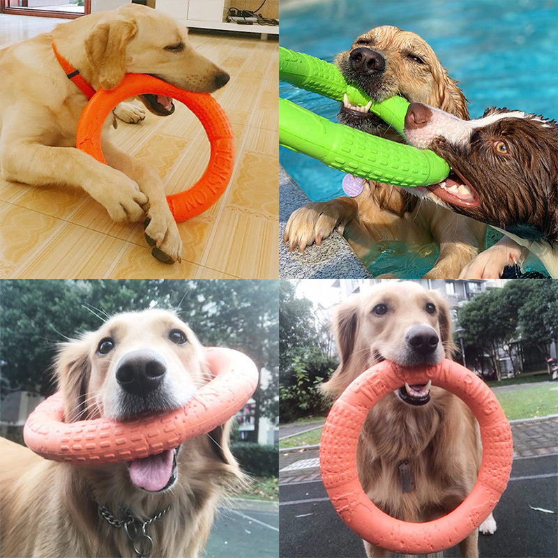EVA Floatable Dog Ring Toy for Water & Fetch Play small-green by HitMyNeed