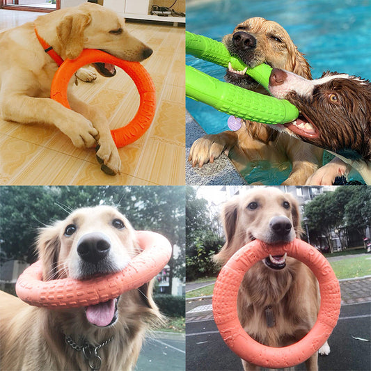 EVA Floatable Dog Ring Toy for Water & Fetch Play small-green by HitMyNeed