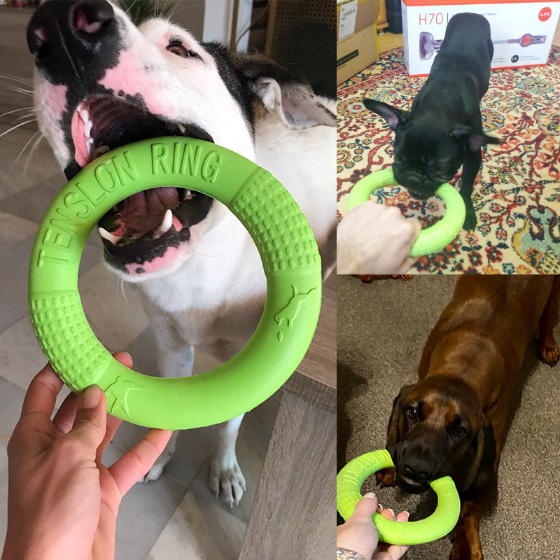 EVA Floatable Dog Ring Toy for Water & Fetch Play small-orange by HitMyNeed