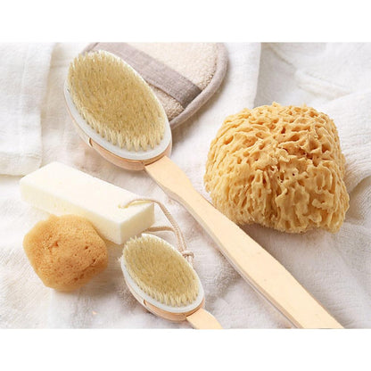 Exfoliating Body Brush with Long Wooden Handle by HitMyNeed