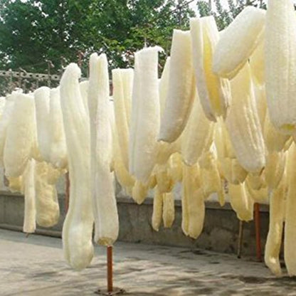 Exfoliating Organic Loofahs Set of 6 by HitMyNeed