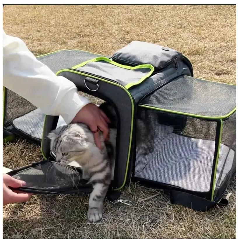 Expandable Airline Approved Cat & Small Dog Travel Bag by HitMyNeed