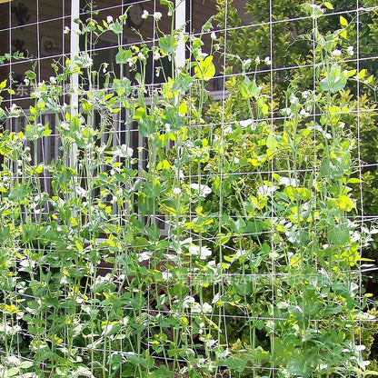 Fabric Garden Trellis Netting for Climbing Plants by HitMyNeed