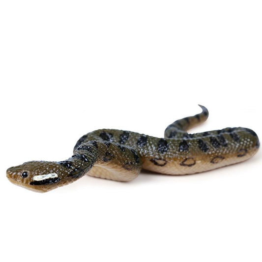 Fake Anaconda Realistic Rubber Snake Prop by HitMyNeed