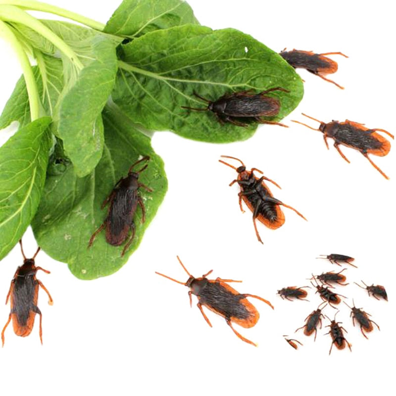 Fake Cockroaches Prank Toy Set (10 Pieces) by HitMyNeed