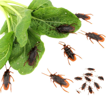 Fake Cockroaches Prank Toy Set (10 Pieces) by HitMyNeed