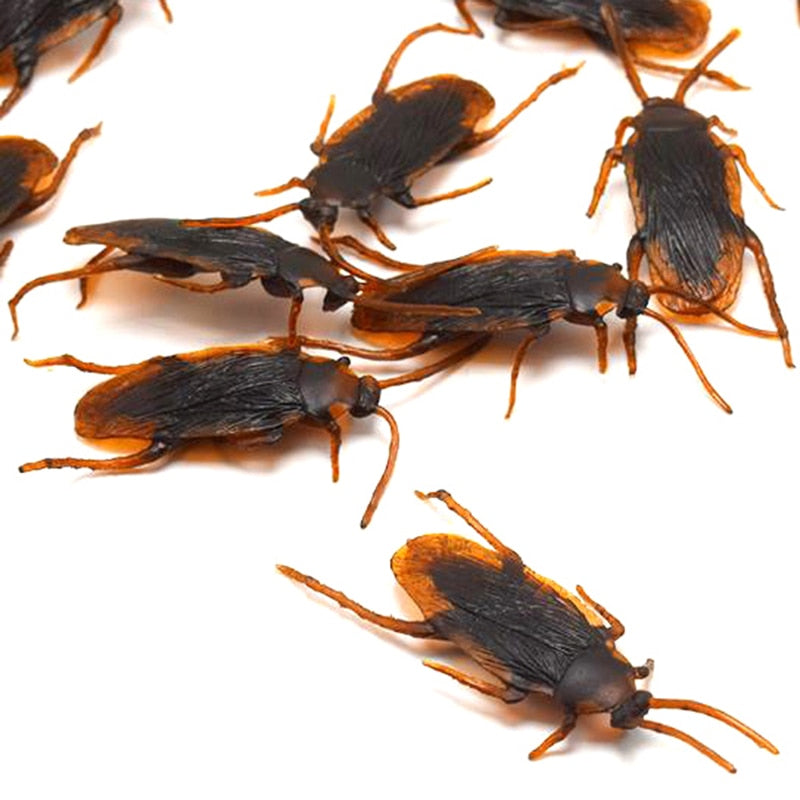 Fake Cockroaches Prank Toy Set (10 Pieces) by HitMyNeed