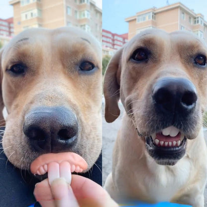 Fake Dog Teeth Costume Accessory for Dogs by HitMyNeed