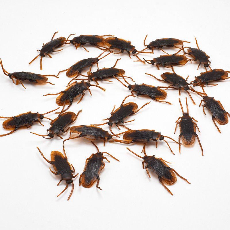 Fake Plastic Cockroach Toys Set (100 Pieces) by HitMyNeed
